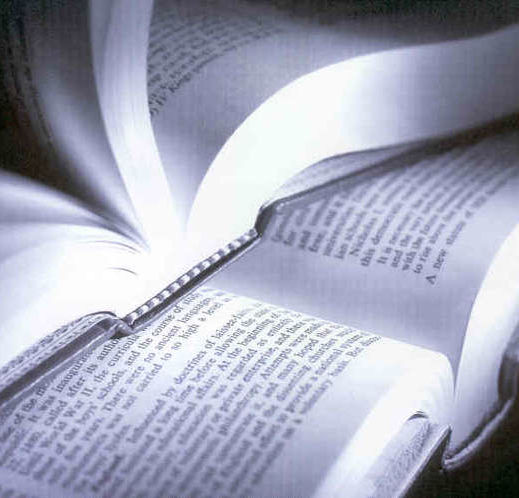 libro-semi-di-giustizia-fabio-bertapelle_large.jpg